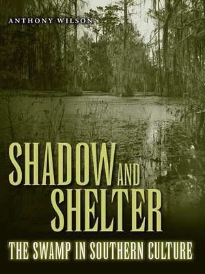 cover image of Shadow and Shelter